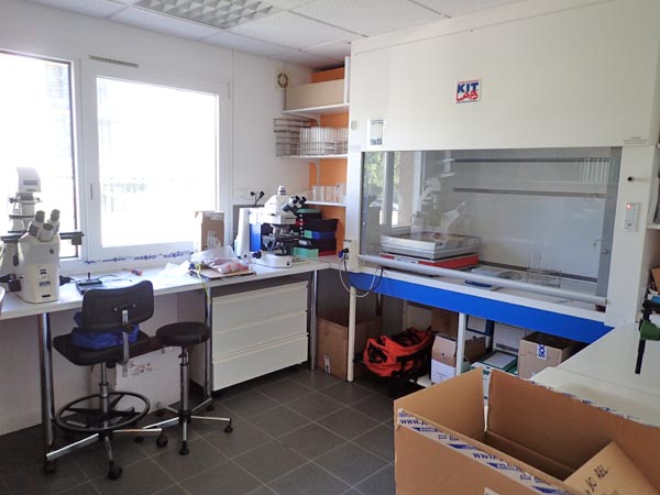 Laboratoire diatomées - SAGE Environnement