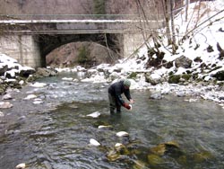 Prélèvement d'eau