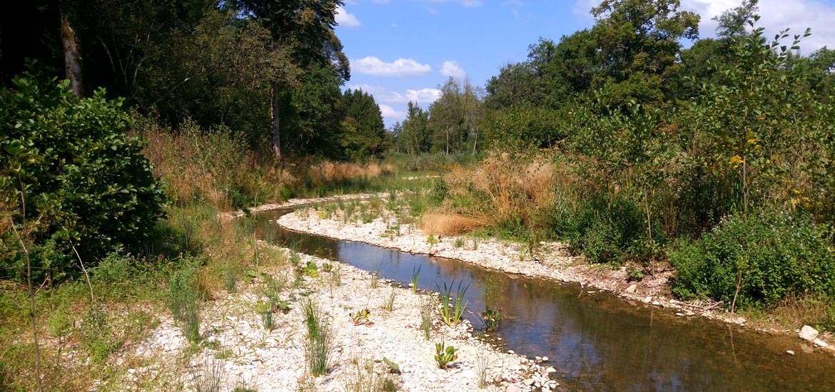 restauration-cours-deau